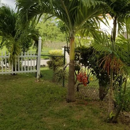Cynson Villa Holiday Accommodations Christ Church Ngoại thất bức ảnh