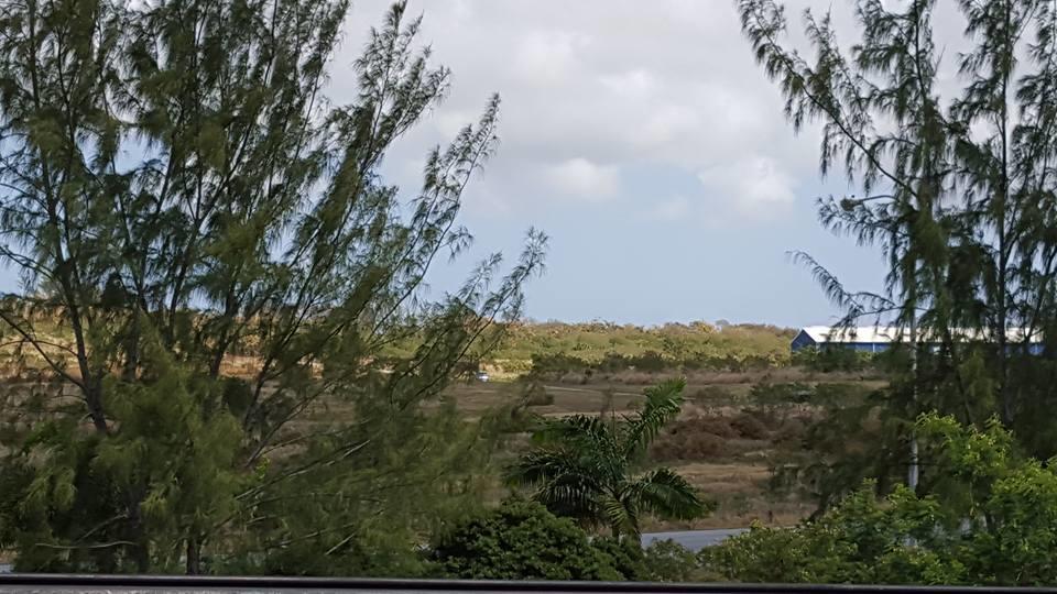 Cynson Villa Holiday Accommodations Christ Church Ngoại thất bức ảnh