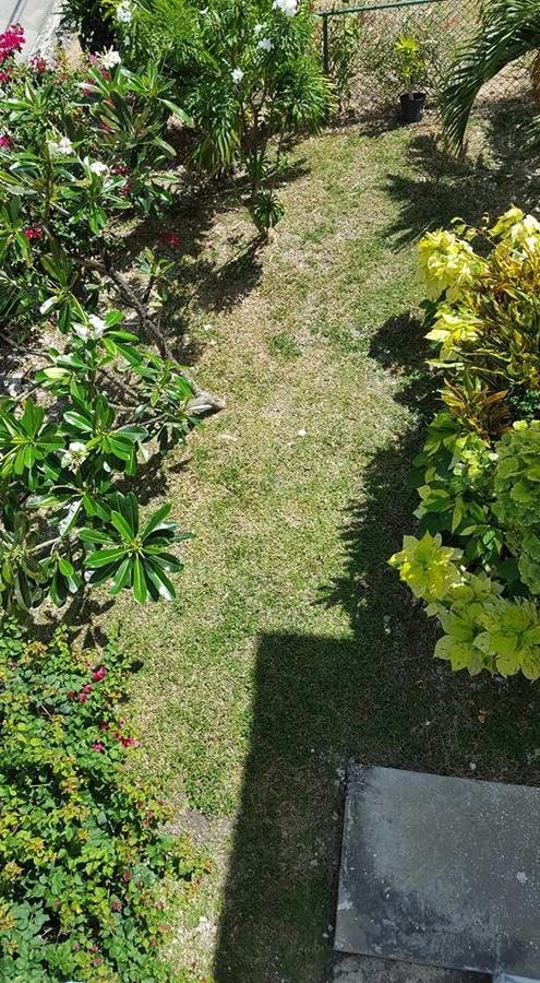 Cynson Villa Holiday Accommodations Christ Church Ngoại thất bức ảnh
